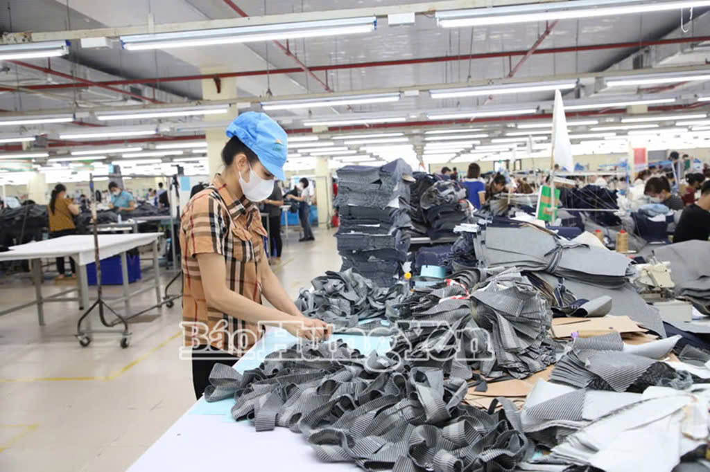 Sản xuất tại Công ty cổ phần Tiên Hưng (Tiên Lữ)