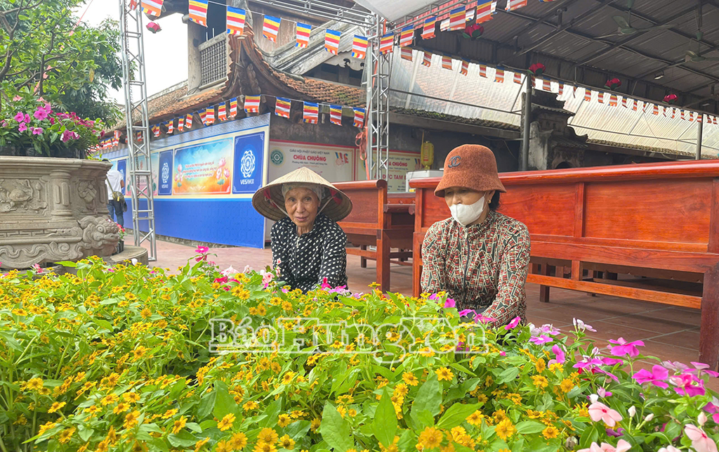 Tình nguyện viên trang trí khuôn viên chùa Chuông