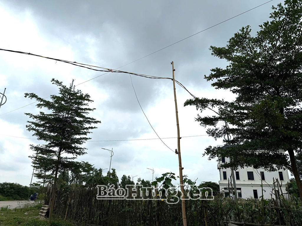 Người dân khu dân cư mới Vi Văn ở xã Liên Phương (thành phố Hưng Yên) tự dựng cột tạm thời để kéo đường điện từ các hộ dân sinh sống tại khu vực quốc lộ 39A để sử dụng