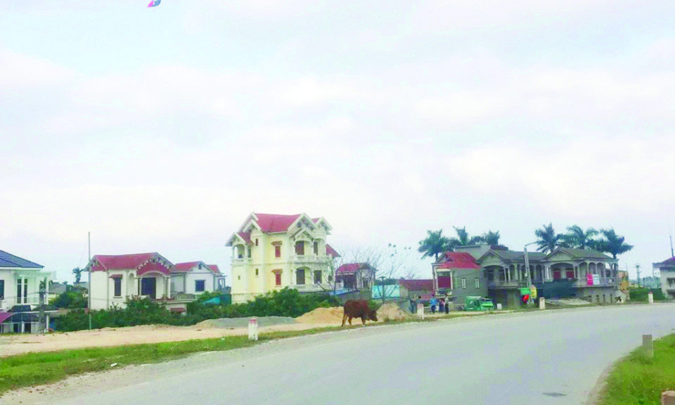 Nhớ ngọn gió mát lành