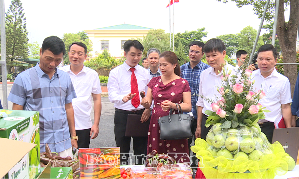 Huyện Văn Giang xúc tiến thương mại và quảng bá sản phẩm nông nghiệp gắn với du lịch