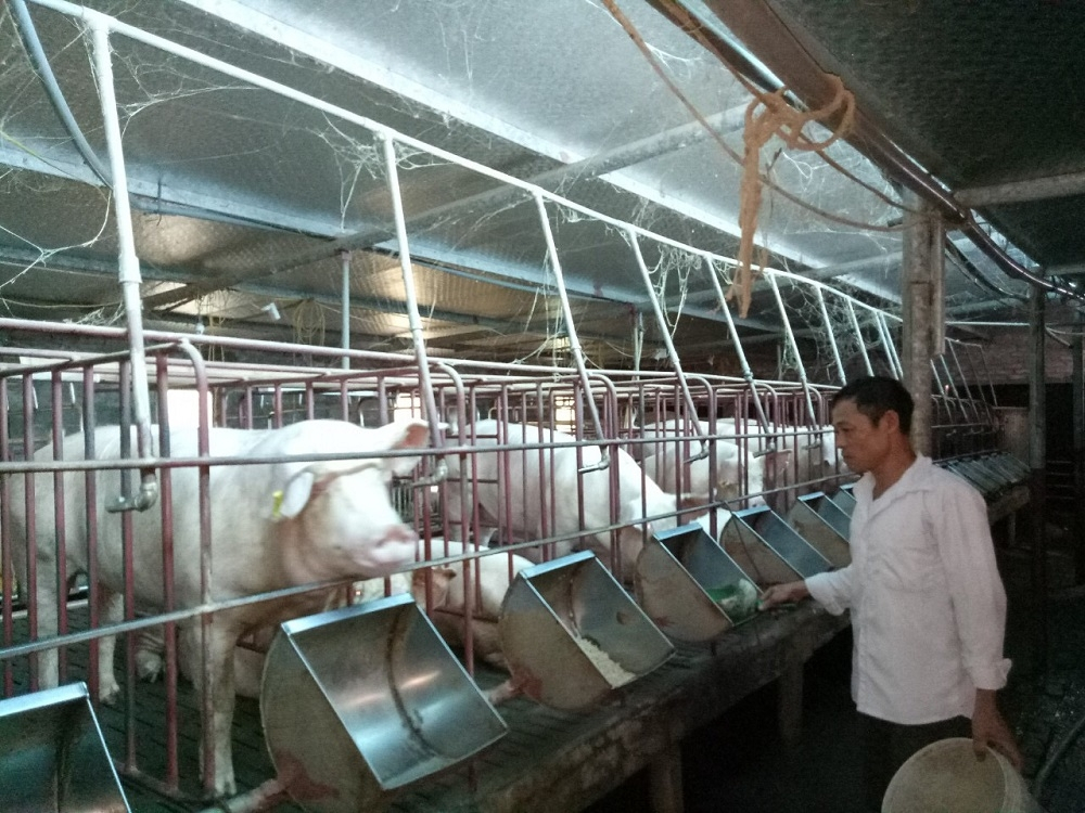 Văn Lâm: Dạy nghề miễn phí cho 200 hội viên Hội Nông dân