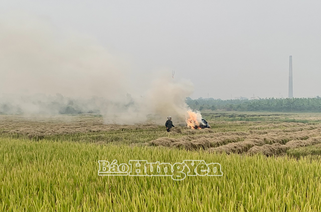 Sau khi thu hoạch, nhiều nông dân xã Phùng Hưng (Khoái Châu) đốt rơm ngay tại ruộng