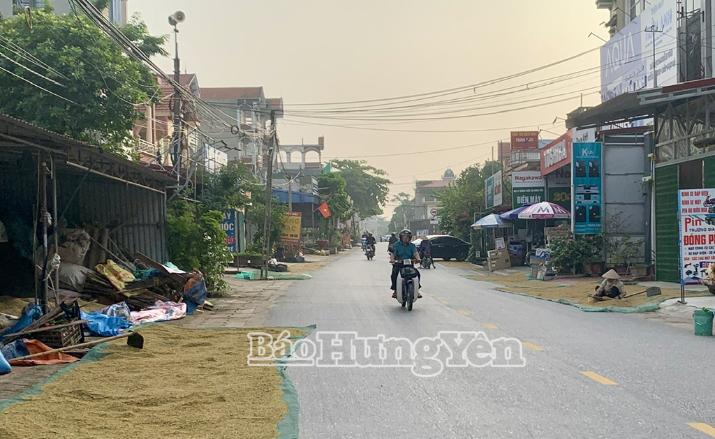 Người dân xã Nghĩa Dân (Kim Động) phơi thóc 2 bên đường gây cản trở giao thông