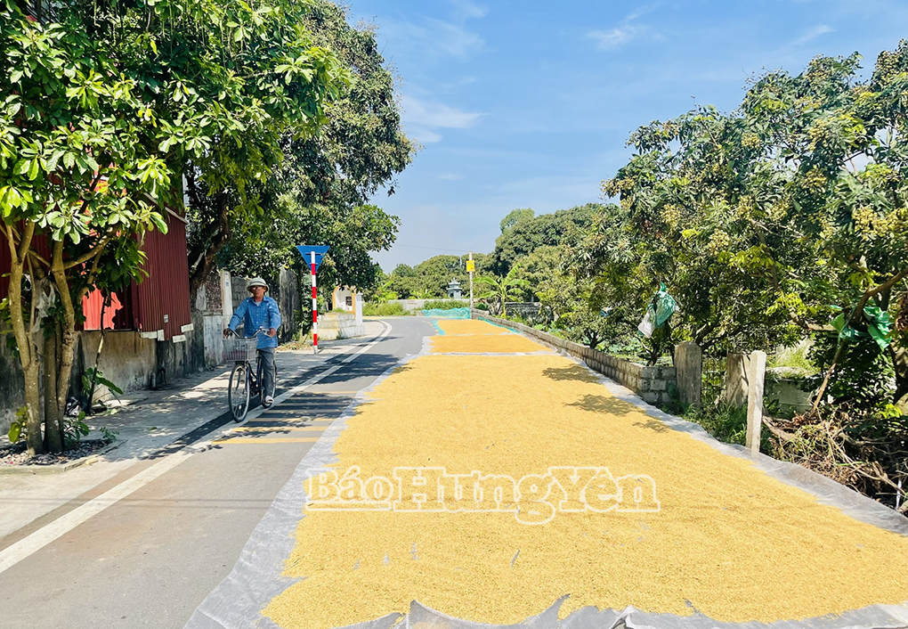 Nhiều đoạn đường chỉ còn lại một lối nhỏ cho  người tham gia giao thông  (Ảnh chụp tại xã Hải Thắng, Tiên Lữ)