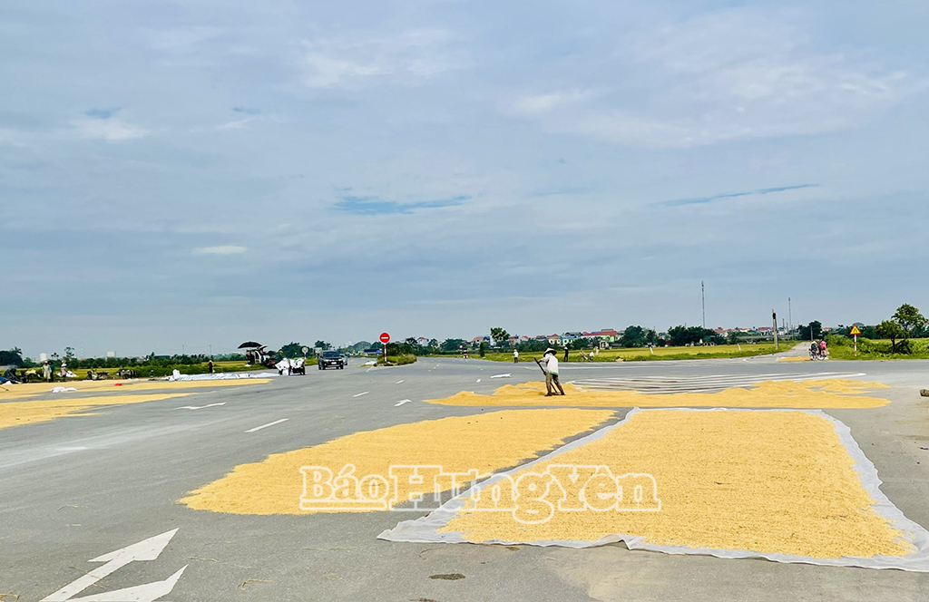 Khu vực ngã tư thuộc địa phận xã An Viên (Tiên Lữ) trở thành sân phơi lớn của các hộ dân trong xã