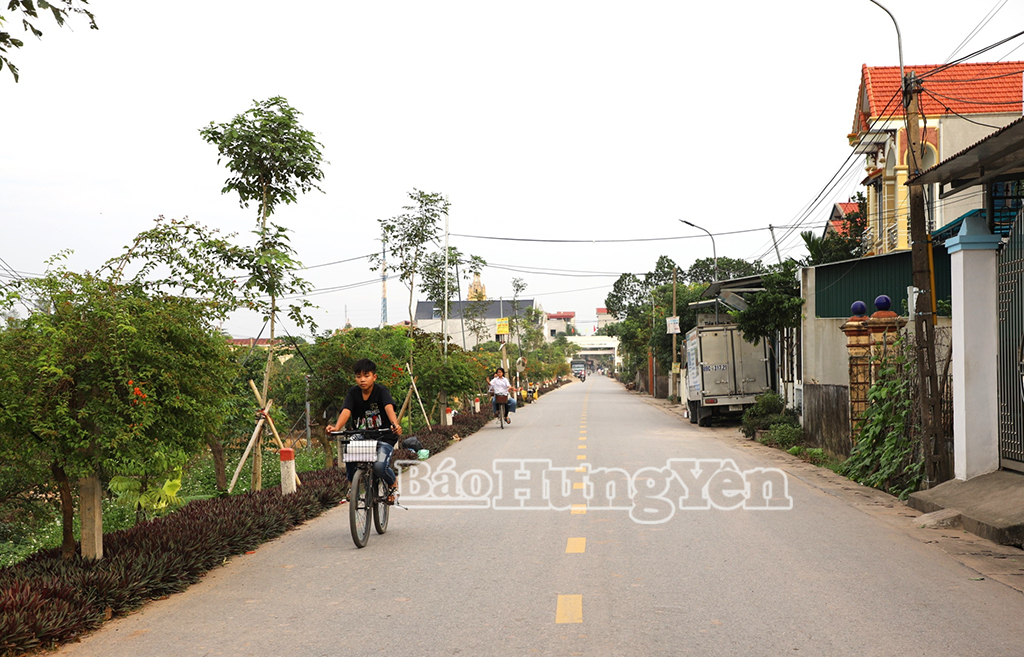 Đường giao thông ở khu dân cư Bùi Xá, xã Đồng Thanh (Kim Động)