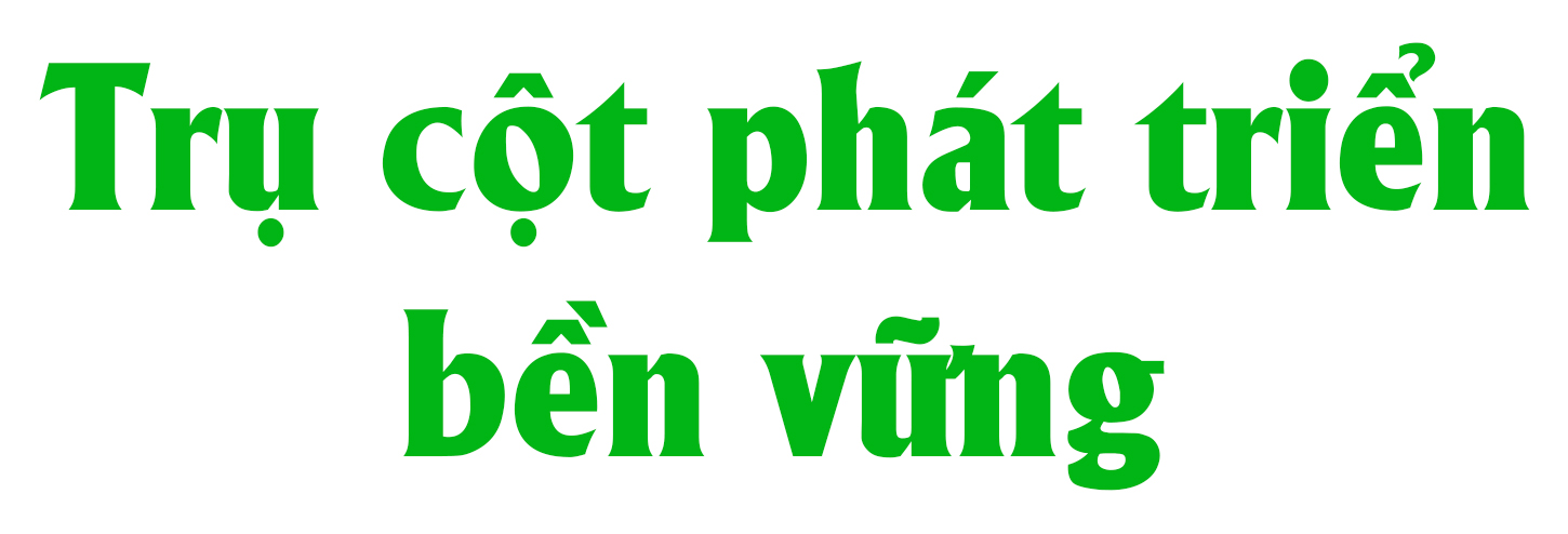 Ảnh co giãn vừa văn bản