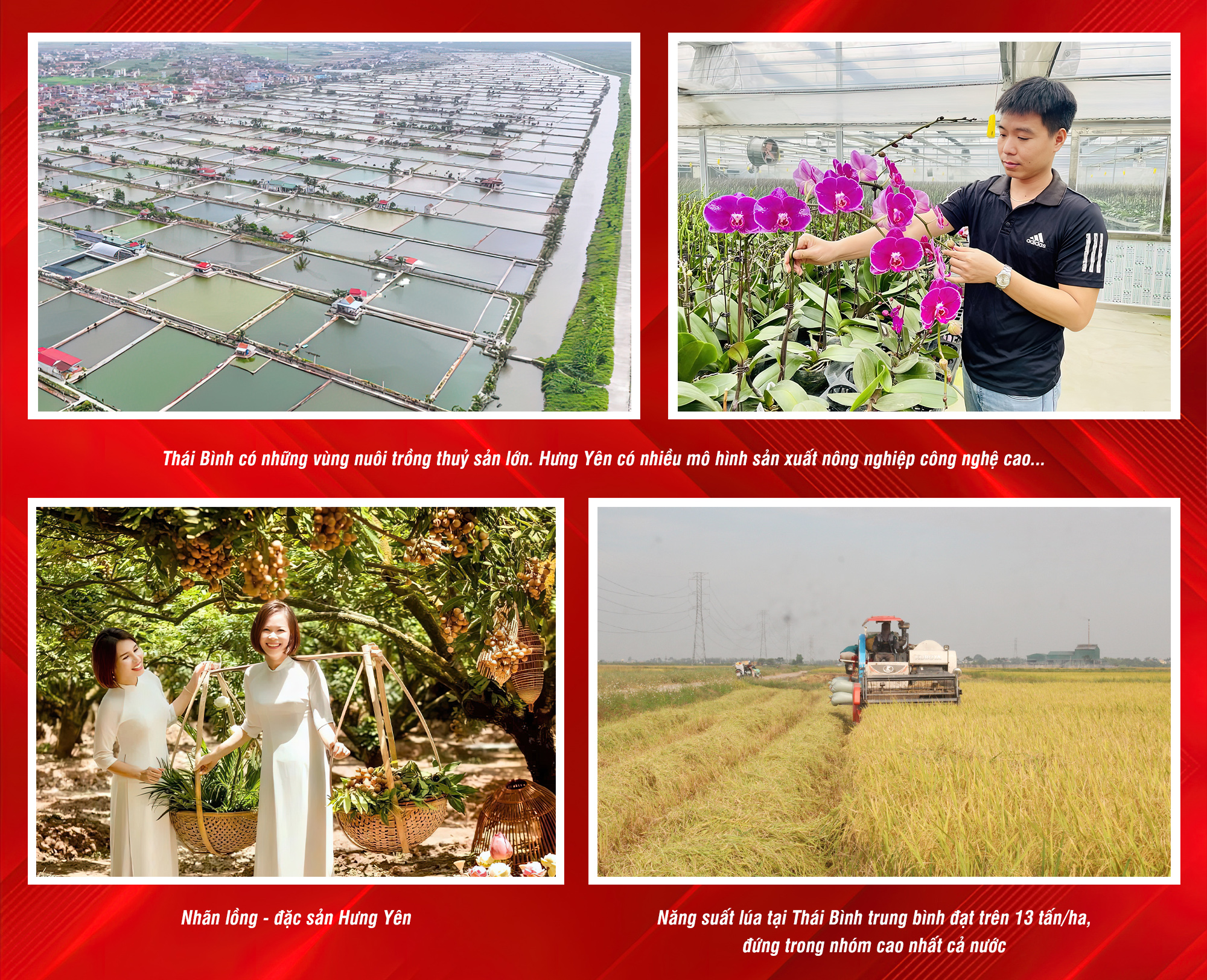 Ảnh tràn viền