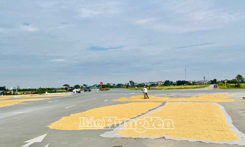 Phơi thóc dưới lòng đường, tiềm ẩn nguy cơ mất an toàn giao thông