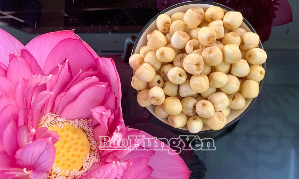 Nâng tầm giá trị và thương hiệu “Sen Hưng Yên”