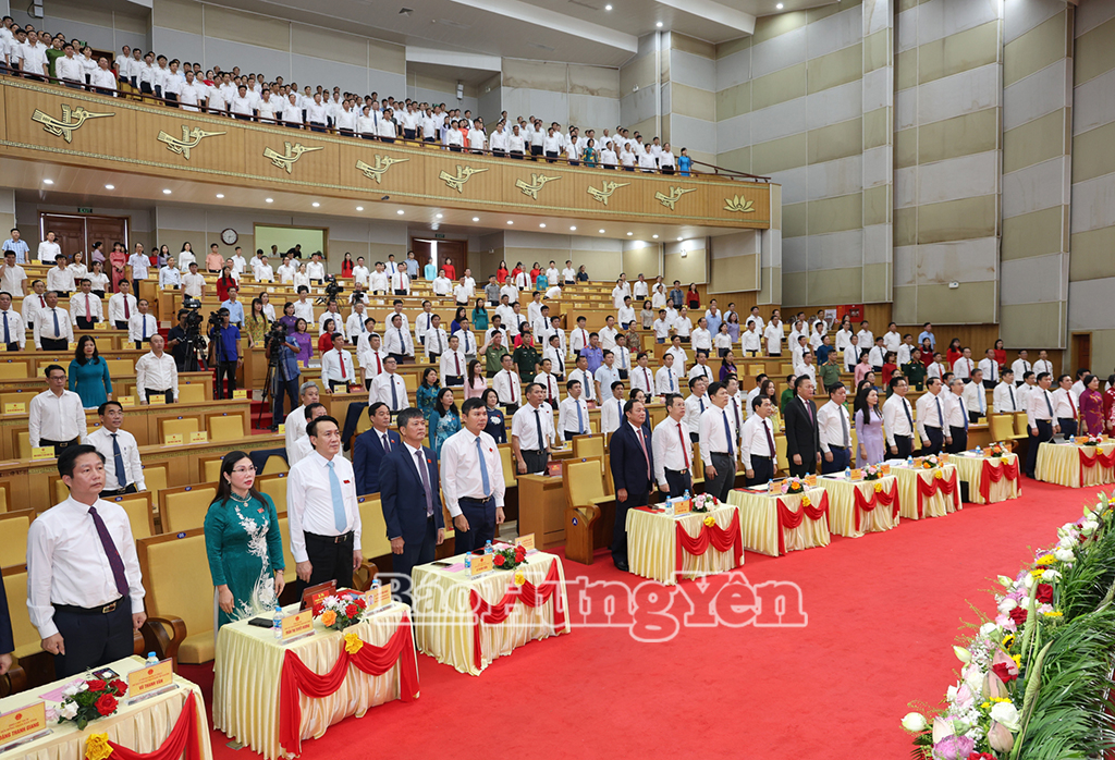 Các đại biểu làm lễ chào cờ