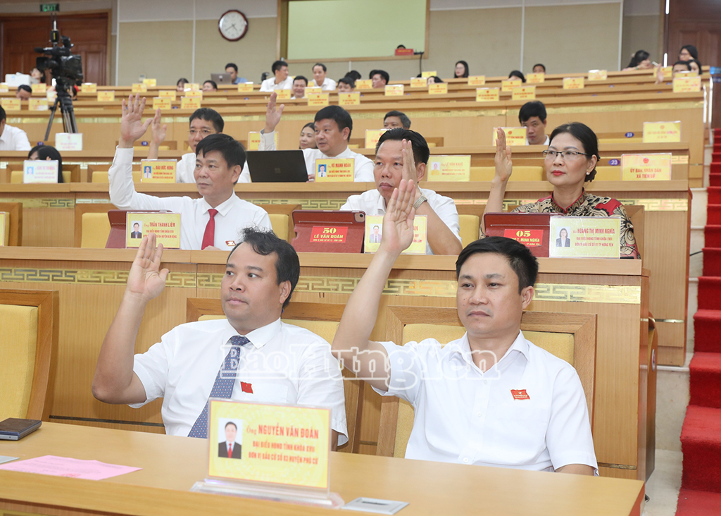 Biểu quyết thông qua nghị quyết tại kỳ họp