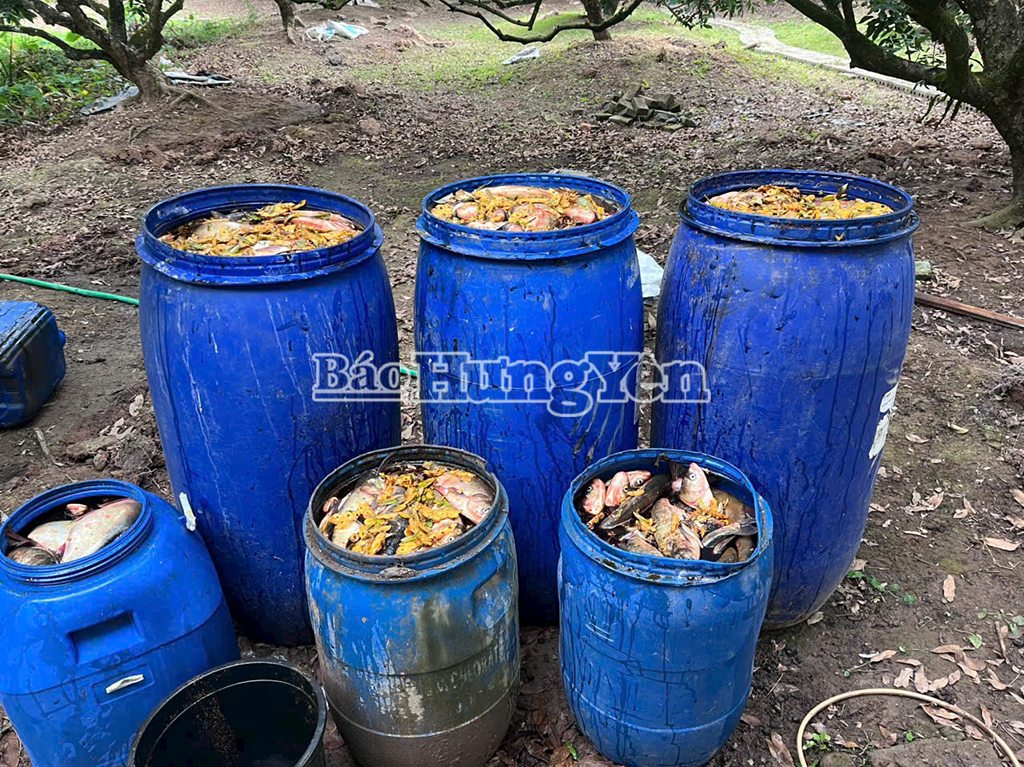 លោក ស៊ូ បង្កាត់ត្រីជាមួយនឹងការរៀបចំស្រោចទឹកដើមល្ហុង។