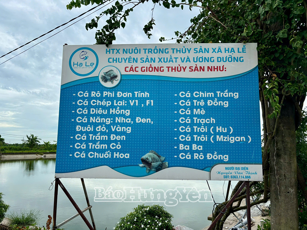 Hợp tác xã chuyên sản xuất và ương dưỡng nhiều giống thuỷ sản, thị trường tiêu thụ trong nước và xuất khẩu
