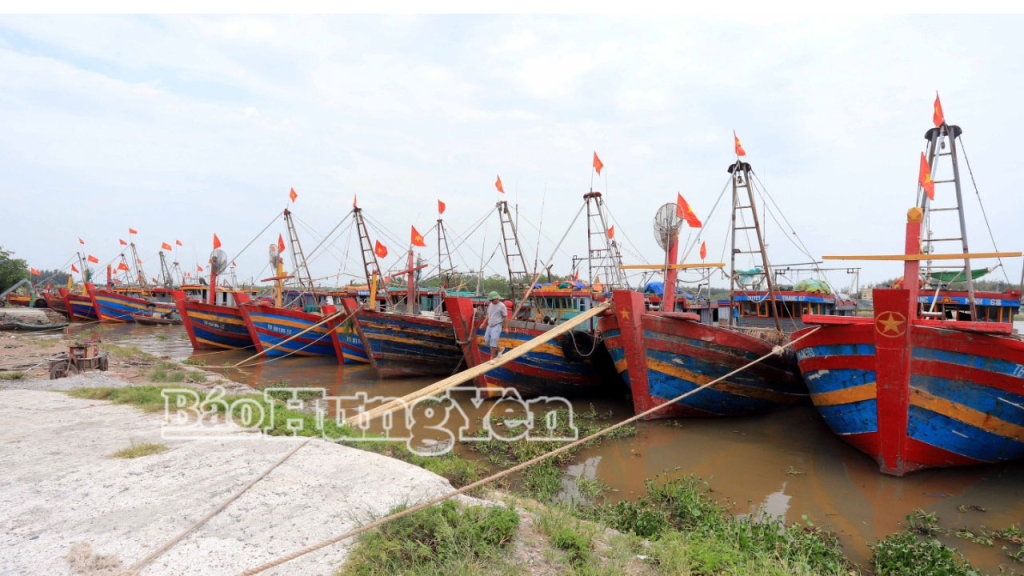 Tàu, thuyền neo đậu tại cảng cá Tân Sơn.