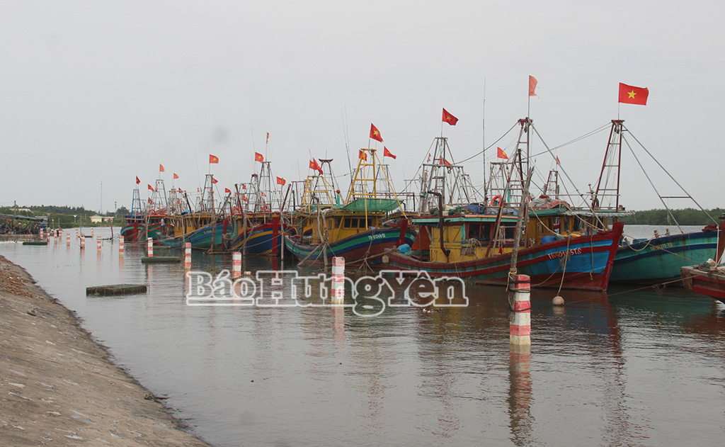 Đến 15 giờ 30 phút ngày 20/7, 1.064 phương tiện đã neo đậu an toàn tại bến trong tỉnh.