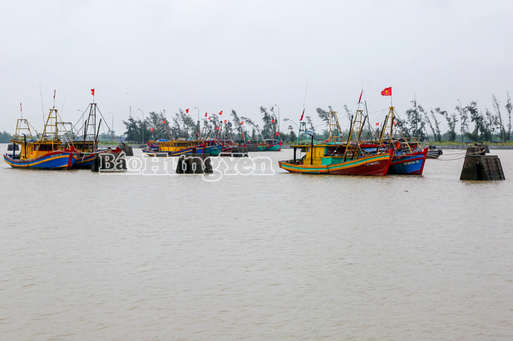 Tàu thuyền của ngư dân vào tránh trú bão an toàn tại khu vực neo đậu xã Nam Thái Ninh.
