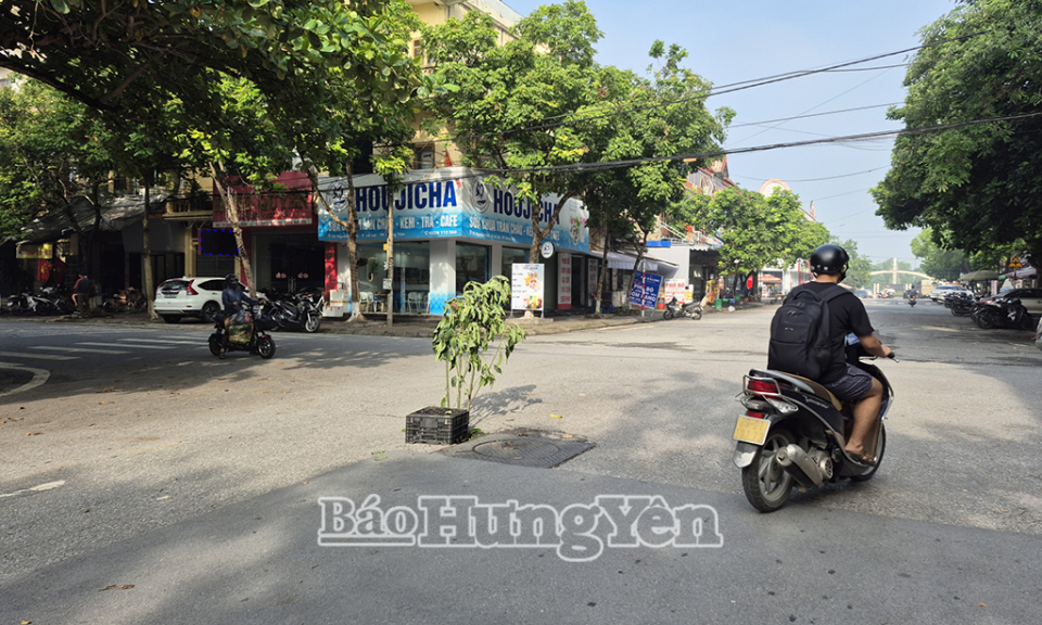 Ống kính phóng viên