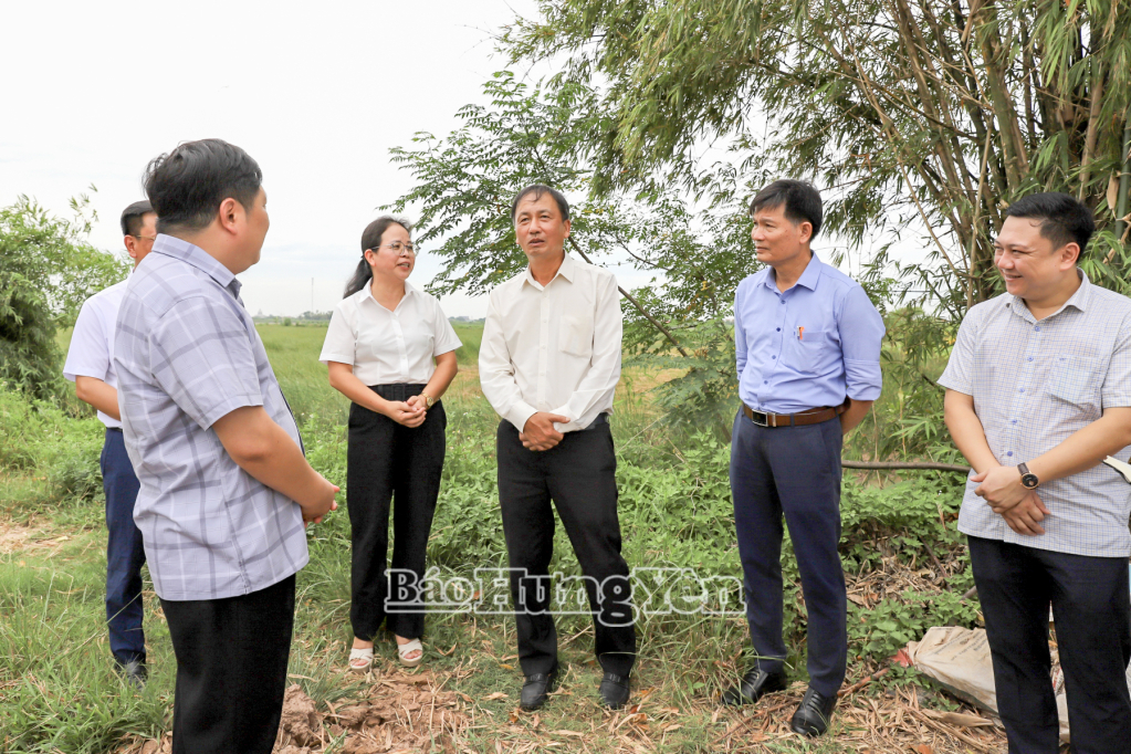 Đồng chí Phó Chủ tịch UBND tỉnh Nguyễn Hùng Nam khảo sát, kiểm tra tuyến đê bối, đê bao Cồn Nhì, xã Bình Định.