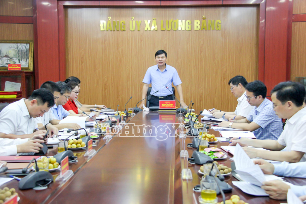 Đồng chí Phó Chủ tịch UBND tỉnh Nguyễn Lê Huy phát biểu chỉ đạo tại buổi làm việc.