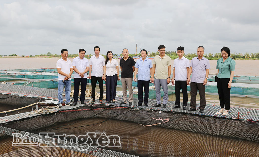 Cán bộ, hội viên Hội nông dân tỉnh tham quan mô hình nuôi cá lồng trên sông Hồng, xã Vũ Tiên.