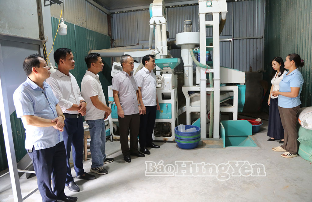 Cán bộ, hội viên Hội Nông dân tỉnh tham quan mô hình liên kết sản xuất lúa, xã Kiến Xương.