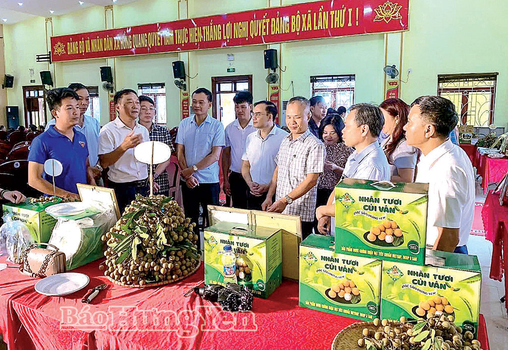 Hợp tác xã nhãn Cùi Vân, xã Hồng Quang xúc tiến tiêu thụ nhãn.
