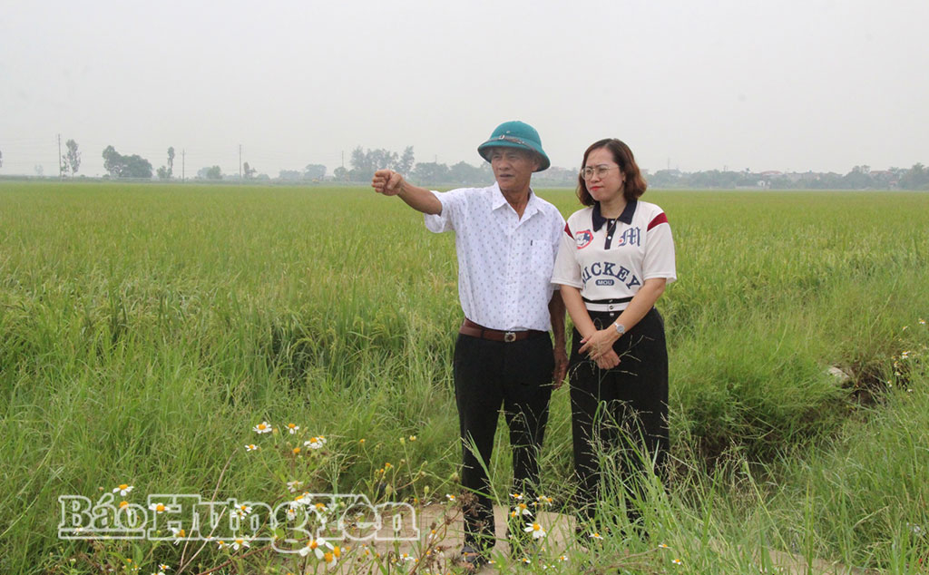 Ông Bùi Văn Sinh, thôn Thượng Ngạn 1 sẵn sàng bàn giao gần 1 sào đất nông nghiệp phục vụ dự án.