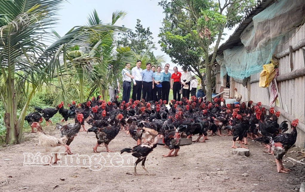 Các đại biểu tham quan mô hình nuôi gà lai Đông Tảo tại thôn Trà Bồ, xã Đoàn Đào.