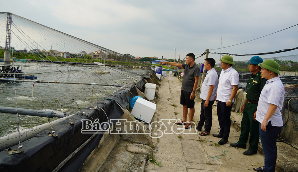 Lãnh đạo xã Thái Ninh kiểm tra công tác phòng, chống bão tại khu nuôi trồng thủy sản.