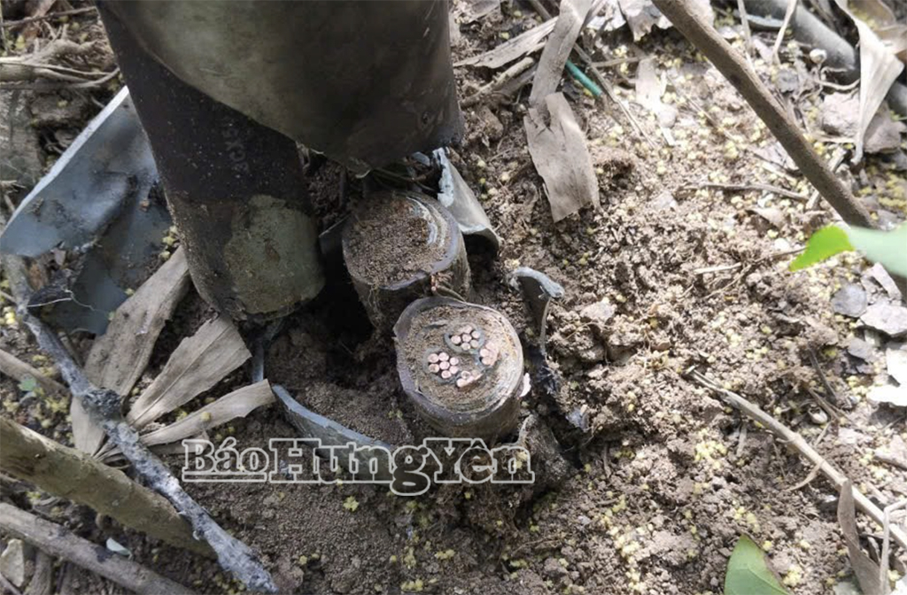 Dây cáp cấp nguồn điện chiếu sáng bị kẻ gian cắt trộm.
