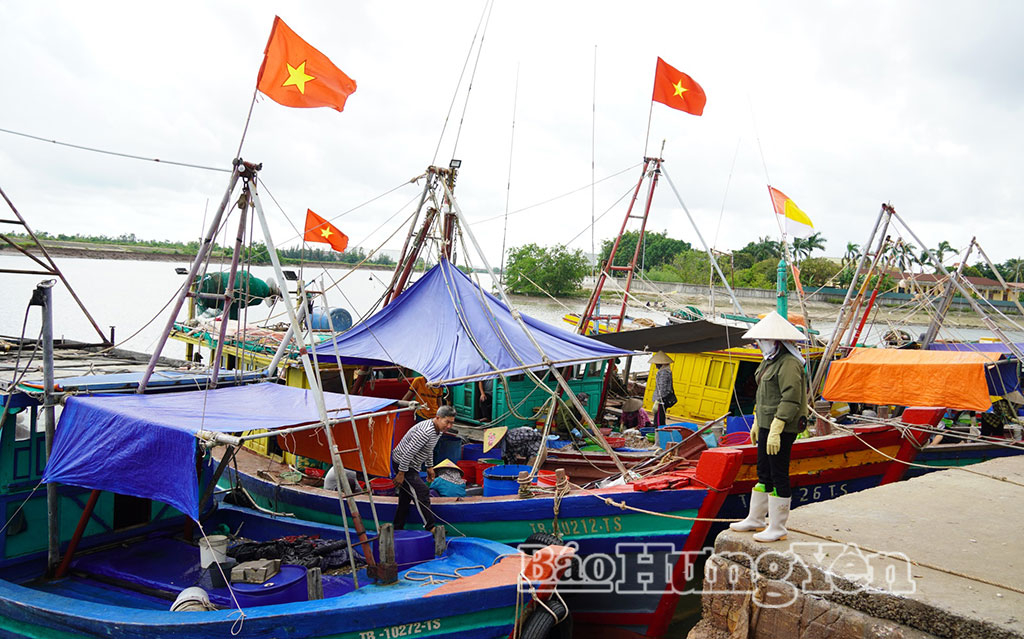 Phương tiện tàu, thuyền về neo đậu tránh trú trước bão số 9 tại bến cá Vĩnh Trà, xã Thái Thụy.