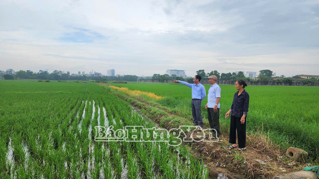 Nhân dân phường Trần Lãm đồng thuận nhượng đất nông nghiệp phục vụ dự án phát triển nhà ở khu đô thị mới Kiến Giang.