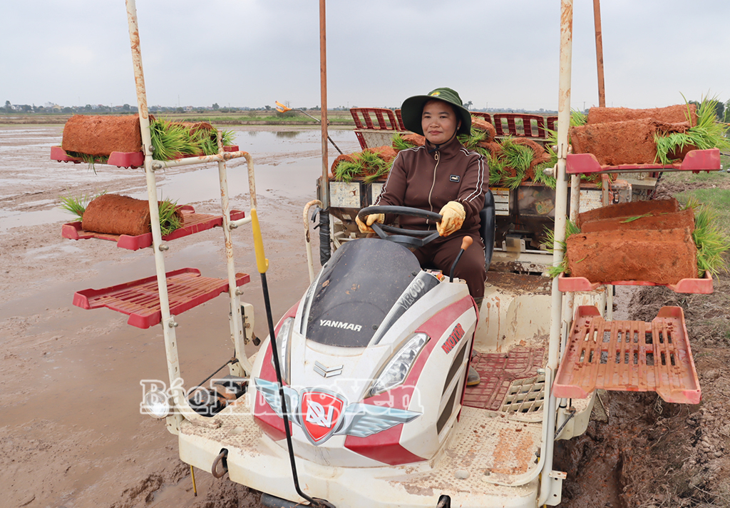 Xây dựng hạ tầng cụm công nghiệp Bình Minh.
