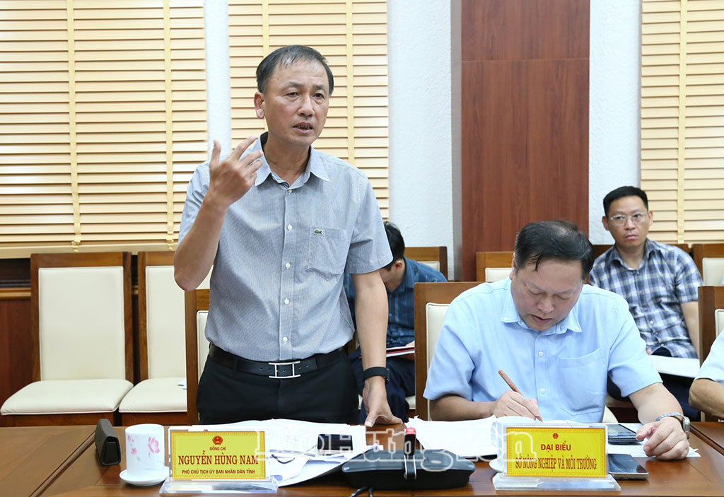 Phó Chủ tịch UBND tỉnh Nguyễn Hùng Nam phát biểu tại phiên họp.