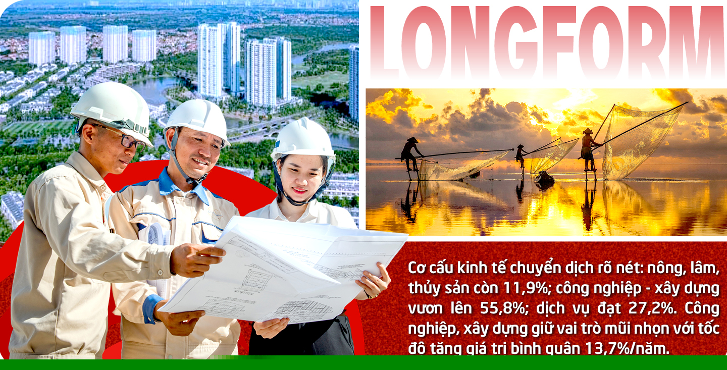 Ảnh co giãn vừa văn bản