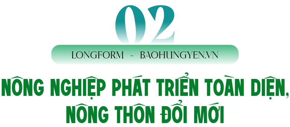 Ảnh co giãn vừa văn bản