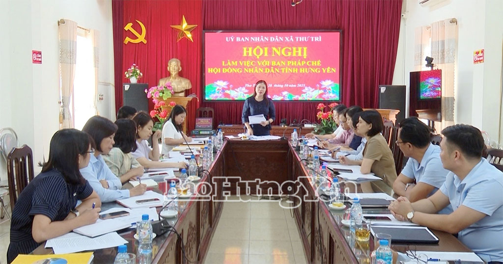 Đồng chí Trần Thị Tuyết Hương, Phó Chủ tịch HĐND tỉnh phát biểu kết luận tại buổi làm việc.