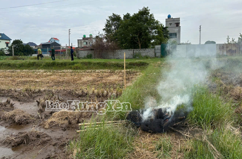 Đoàn kiểm tra tiêu hủy 4 chim xốp giả tại chỗ.