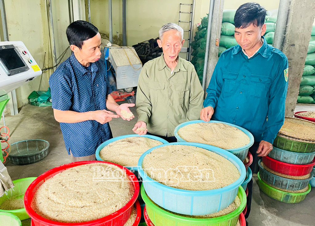 Ông Trần Đình Chế, thôn Thống Nhất (ở giữa) giới thiệu sản phẩm cốm vừa sơ chế cho khách hàng.