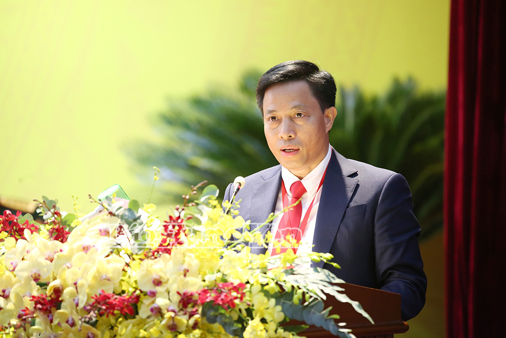 anh,11,12150202.jpg