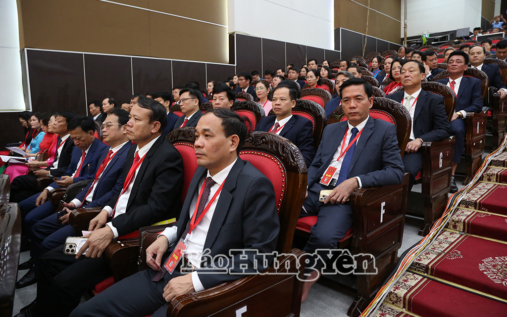 dai,bieu,du,dai,hoi,3,14385702.jpg