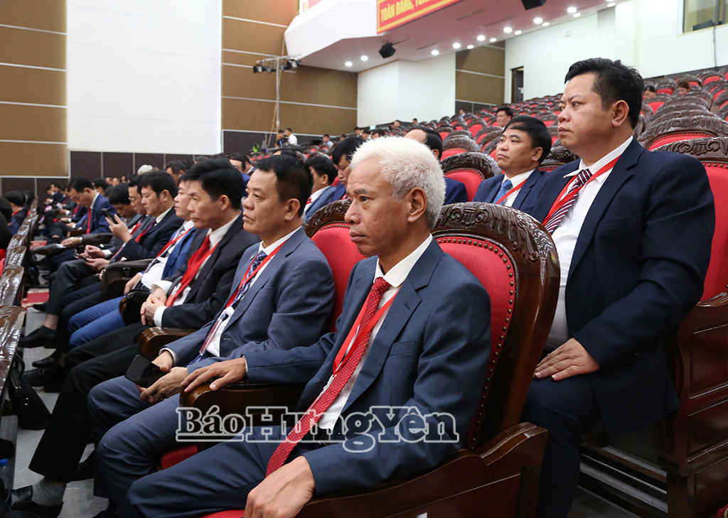 dai,bieu,du,dai,hoi,5,14391802.jpg