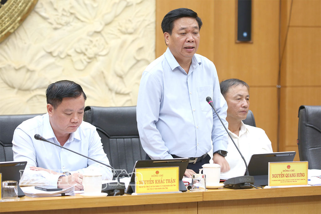Đồng chí Nguyễn Quang Hưng, Ủy viên Ban Thường vụ Tỉnh ủy, Phó Chủ tịch Thường trực UBND tỉnh phát biểu tại phiên họp.