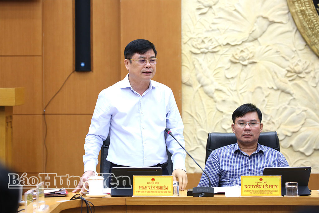 Đồng chí Phạm Văn Nghiêm, Phó Chủ tịch UBND tỉnh phát biểu tại phiên họp.