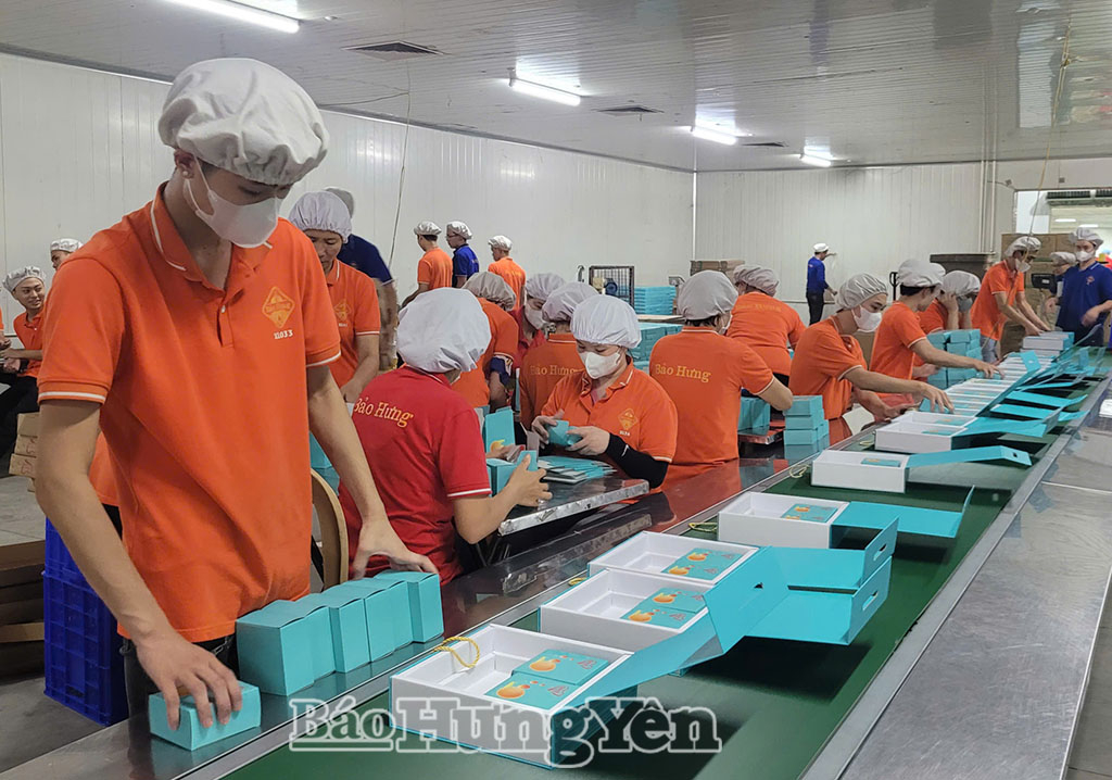 Đóng gói sản phẩm tại Công ty cổ phần quốc tế Bảo Hưng (xã Tân Thuận).