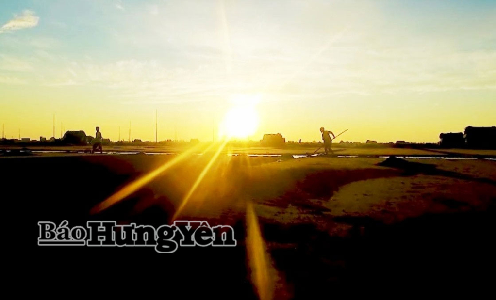 Ngay từ sáng sớm, diêm dân thôn Tam Đồng (xã Thái Thụy) ra đồng sản xuất muối.
