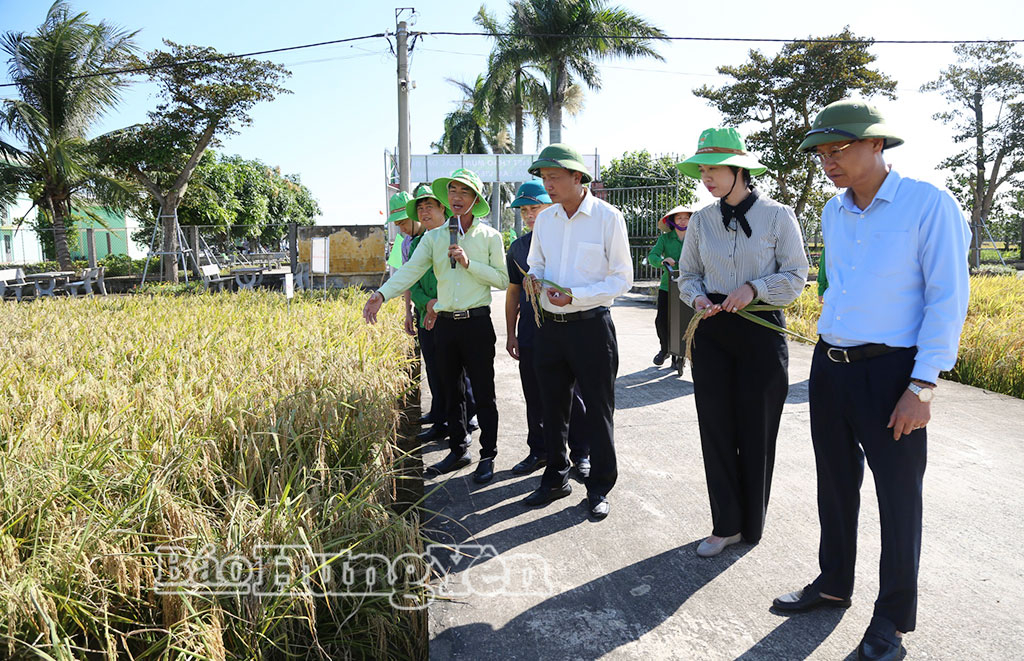 Đồng chí Nguyễn Hùng Nam, Phó Chủ tịch UBND tỉnh tham quan Viện nghiên cứu cây trồng, Công ty Cổ phần Tập đoàn Thaibinh Seed, xã Bắc Đông Hưng.