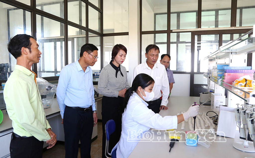 Đồng chí Nguyễn Hùng Nam, Phó Chủ tịch UBND tỉnh tham quan phòng thí nghiệm tại Viện nghiên cứu cây trồng, Công ty Cổ phần Tập đoàn Thaibinh Seed, xã Bắc Đông Hưng.